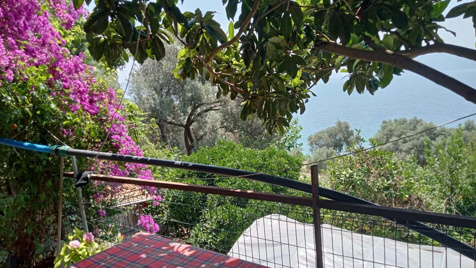 Aysen Ablanin Yeri Apart otel Muğla