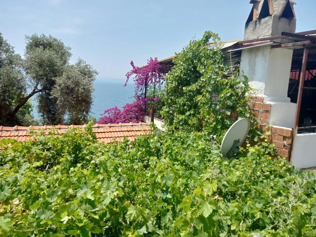 Aysen Ablanin Yeri Apart otel Muğla 0*,  Türkiye