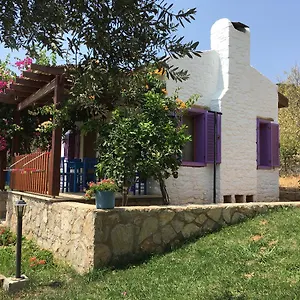 Apart Otel Koy Evi, Palamutbükü